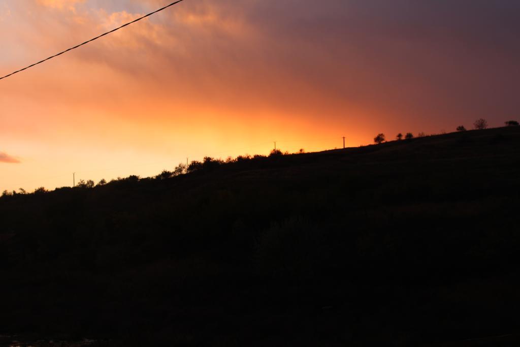 Pensiunea Fery Slobozia-Oancea Exteriér fotografie