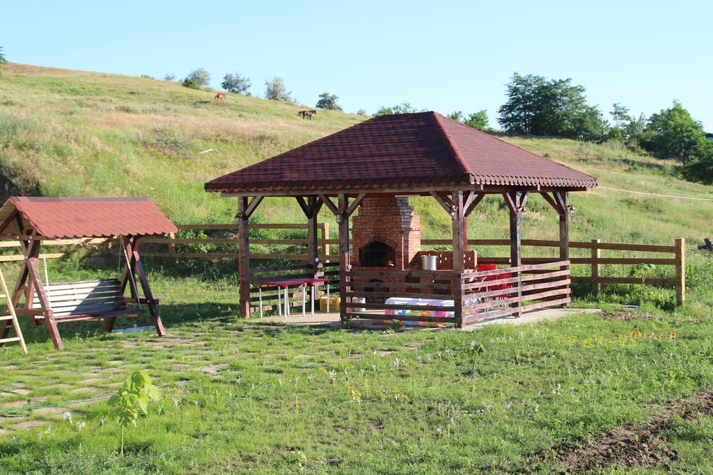 Pensiunea Fery Slobozia-Oancea Exteriér fotografie